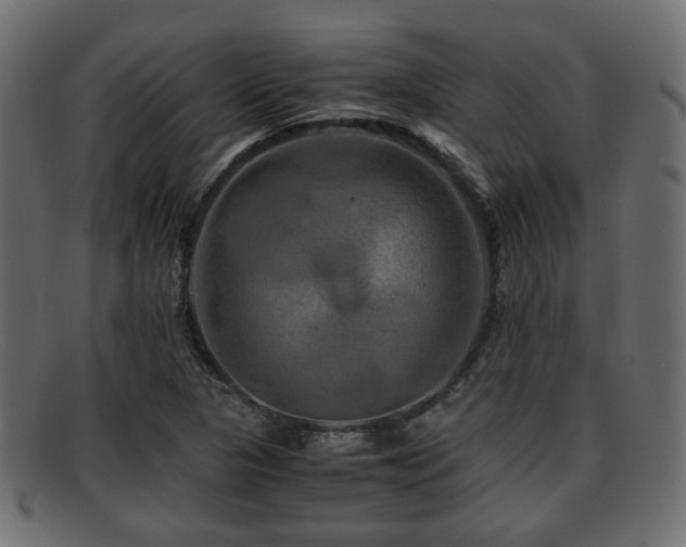 X0000093101313200709261223