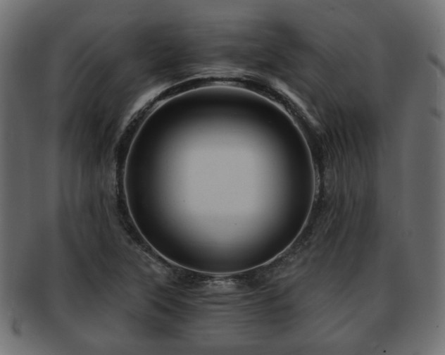 X0000093101315200709261223