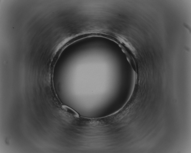 X0000093101316200709261223