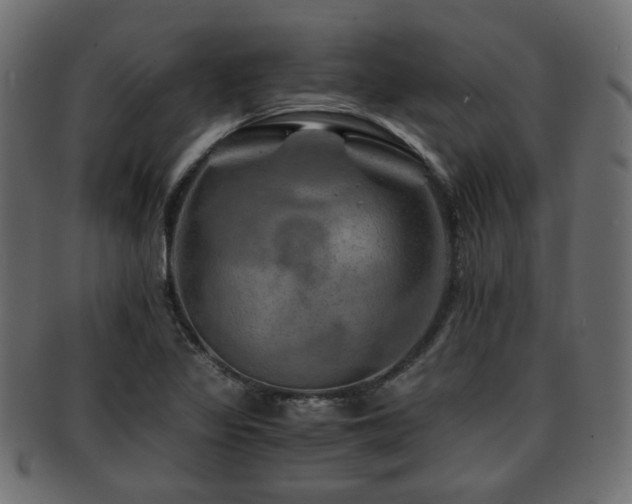 X0000093101317200709261223