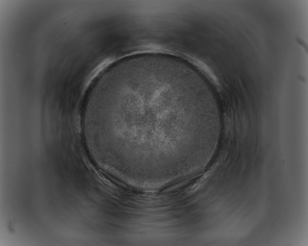 X0000093101318200709261223