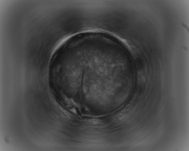 X0000093101319200709261223
