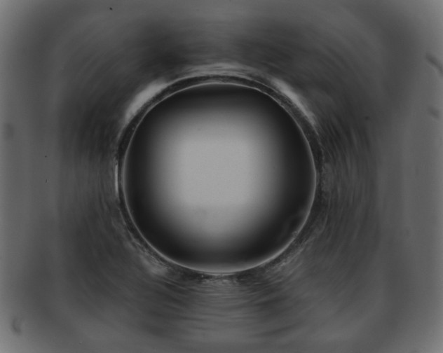 X0000093101320200709261223