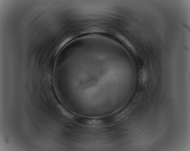 X0000093101321200709261223