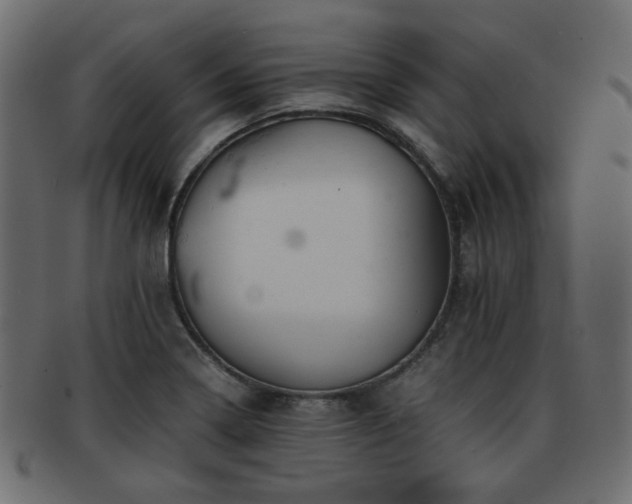 X0000093101322200709261223