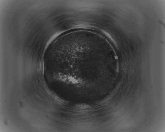 X0000093101323200709261223
