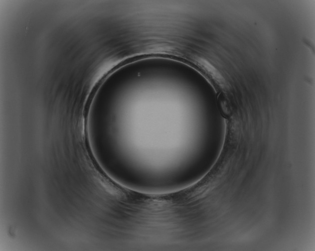X0000093101324200709261223