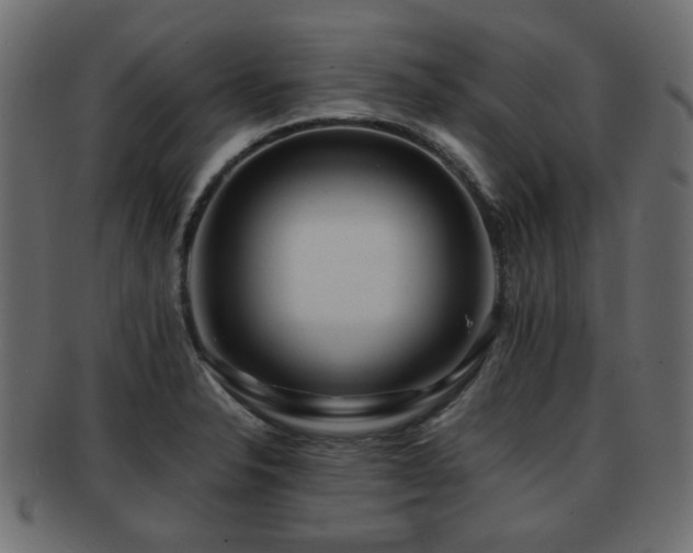X0000093101326200709261223