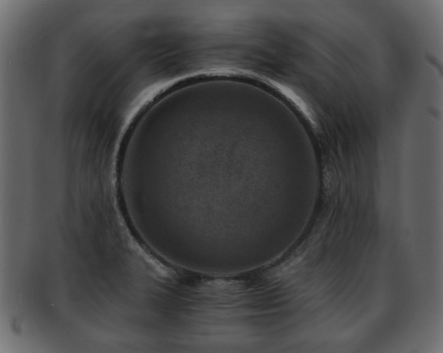 X0000093101327200709261223