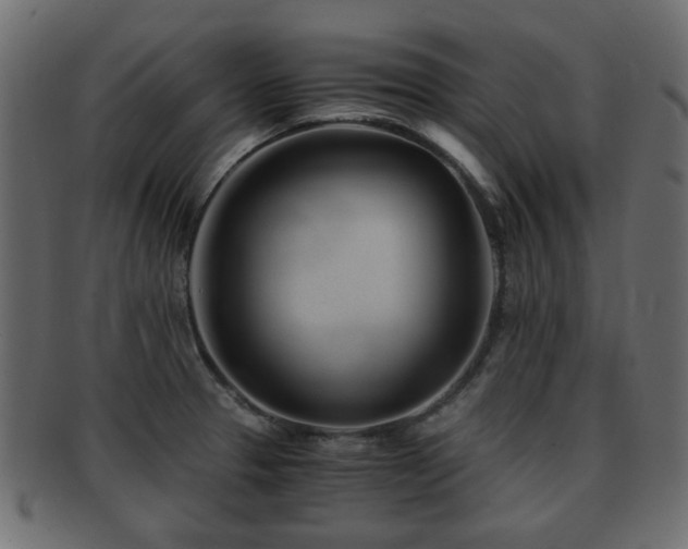 X0000093101329200709261223