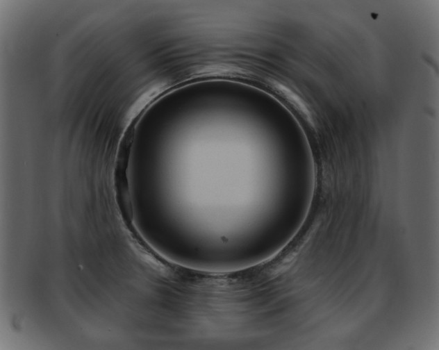 X0000093101330200709261223