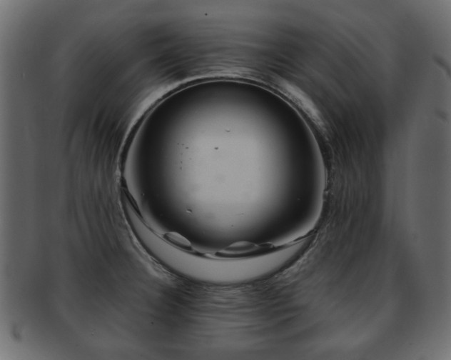 X0000093101332200709261223