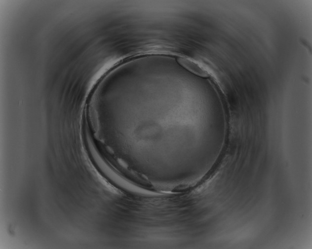 X0000093101333200709261223