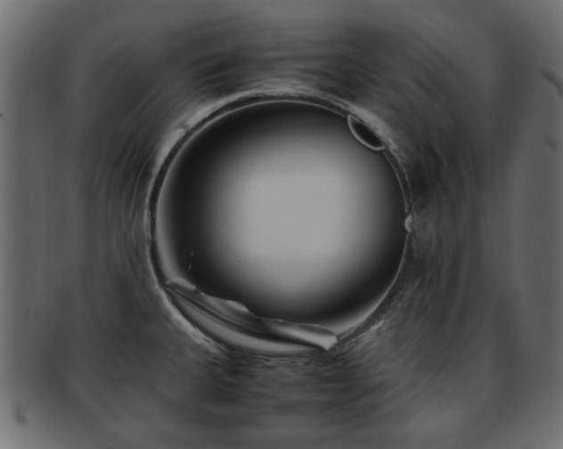 X0000093101335200709261223