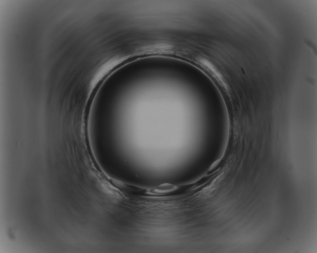 X0000093101336200709261223