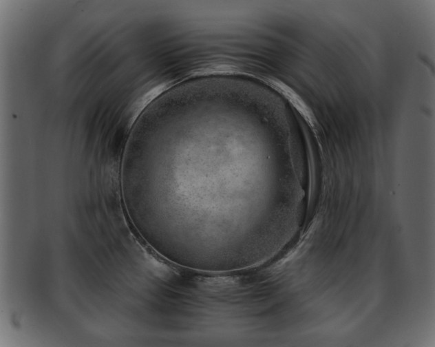 X0000093101337200709261223