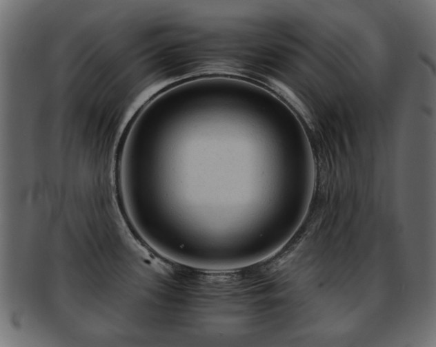 X0000093101339200709261223