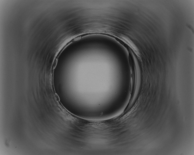 X0000093101340200709261223