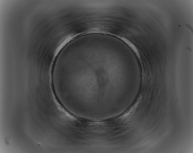 X0000093101341200709261223