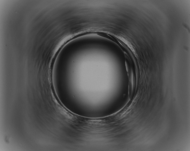 X0000093101342200709261223