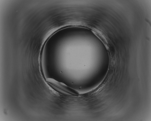 X0000093101343200709261223