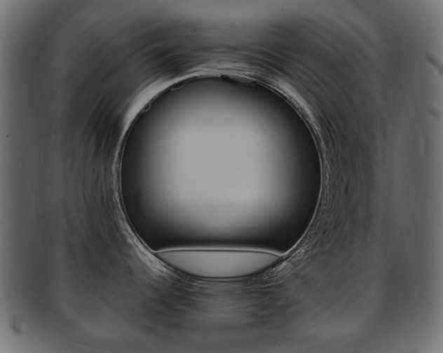X0000093101344200709261223
