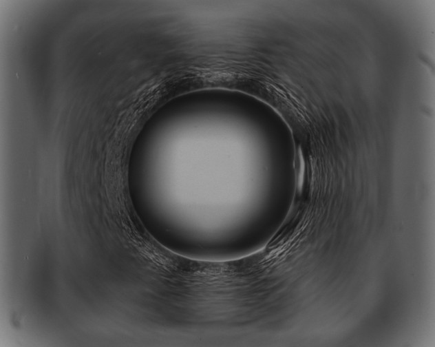 X0000093101345200709261222
