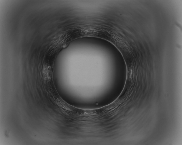 X0000093101346200709261222