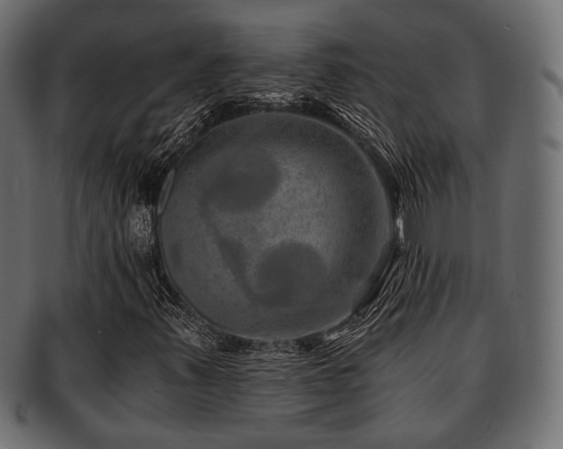 X0000093101347200709261222