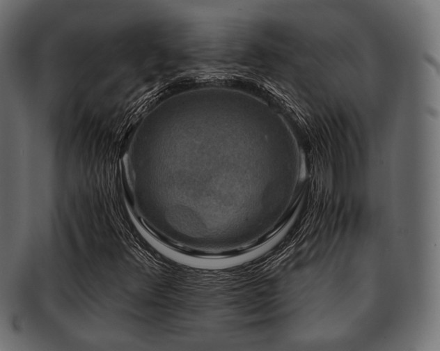 X0000093101348200709261222