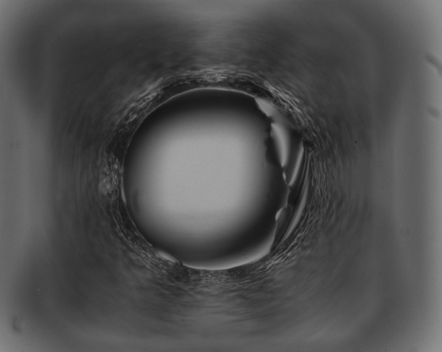 X0000093101349200709261222