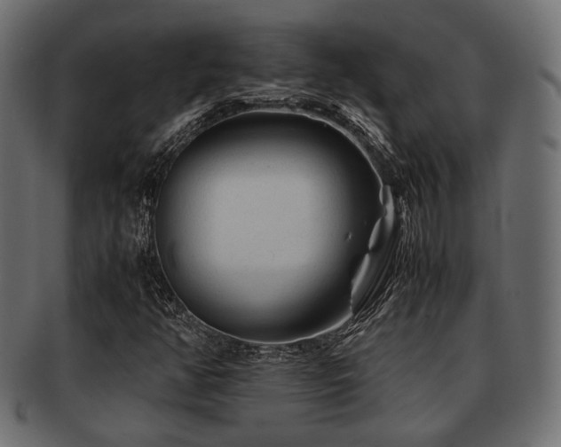 X0000093101350200709261222