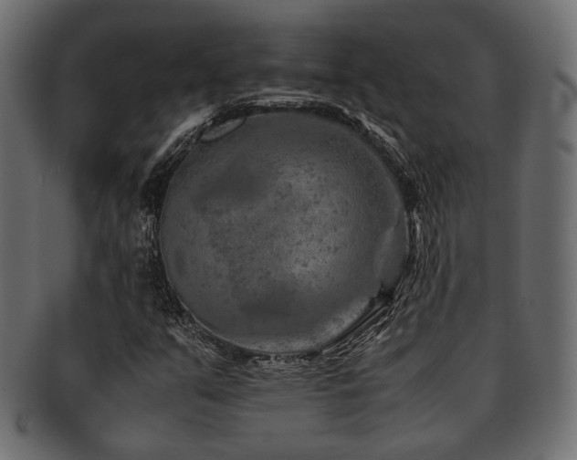 X0000093101351200709261222