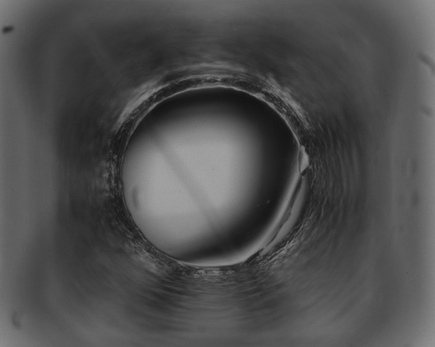 X0000093101352200709261222