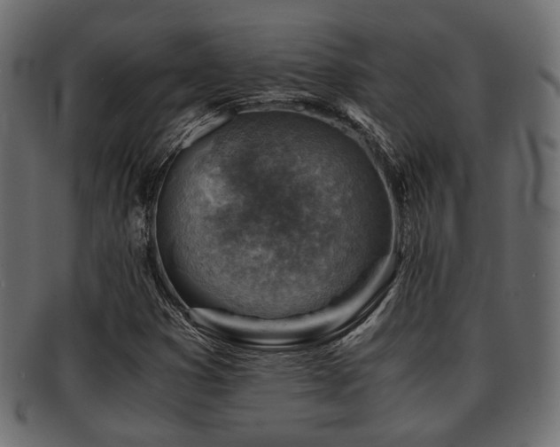 X0000093101353200709261222