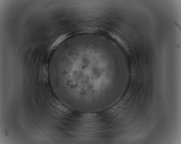 X0000093101354200709261222