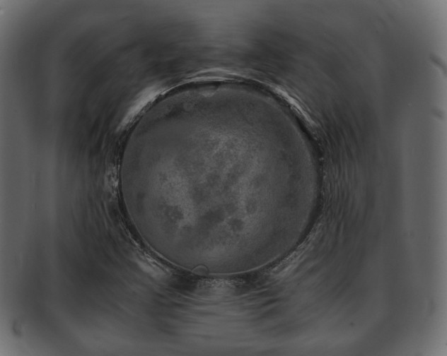 X0000093101355200709261222