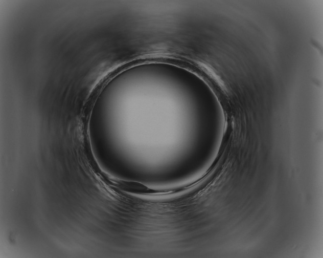 X0000093101356200709261222