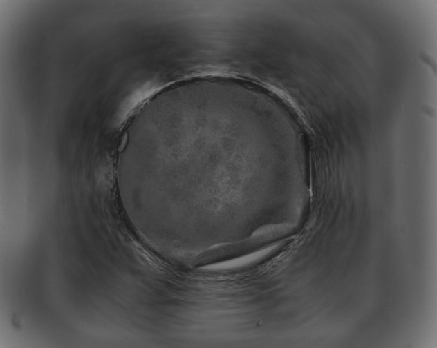 X0000093101359200709261222