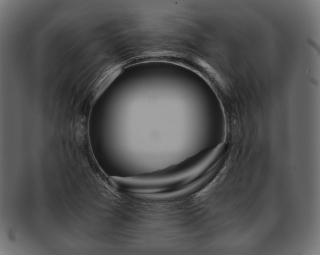 X0000093101361200709261222