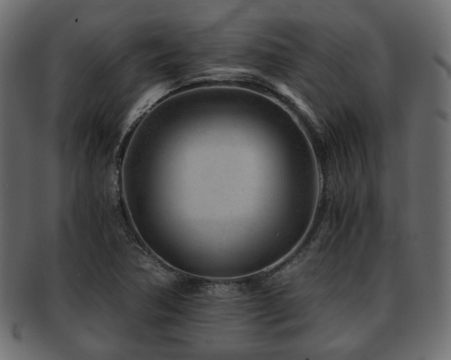 X0000093101362200709261222