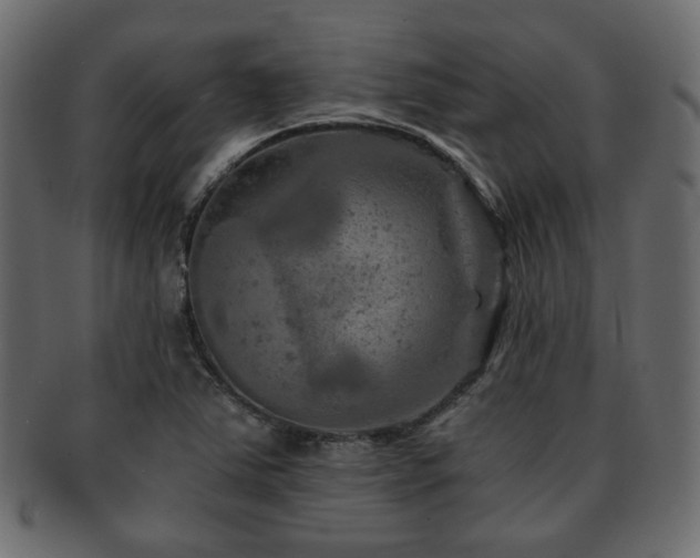 X0000093101363200709261222