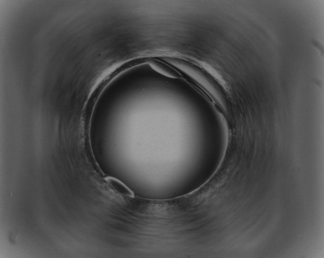 X0000093101364200709261222