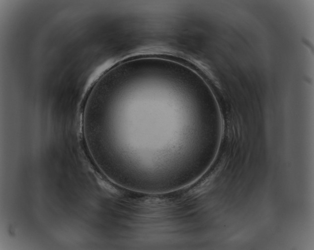X0000093101366200709261222