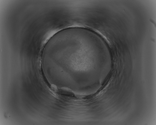 X0000093101367200709261222