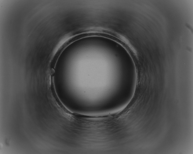 X0000093101368200709261222