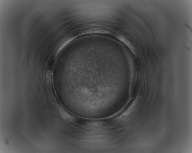 X0000093101369200709261222