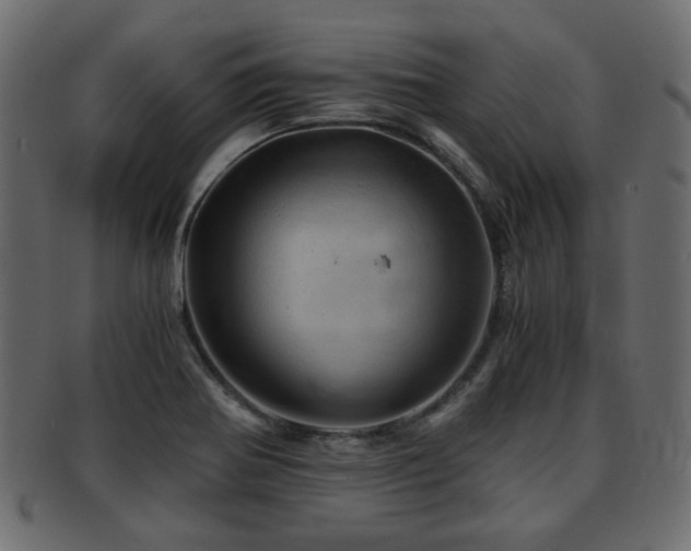 X0000093101370200709261222