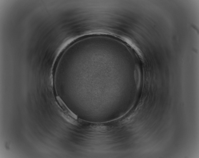X0000093101372200709261222