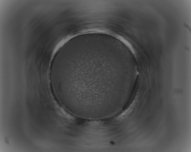 X0000093101373200709261222